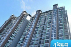 宁德市房产信息网,便捷查询与办理指南