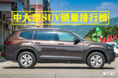 suv销量排行榜官方,新能源车型崛起，传统霸主地位受挑战