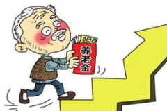 基础养老金标准,“2025年城乡居民基础养老金标准解析与调整概览”