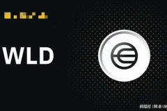 worldcoin,探索数字身份与隐私挑战的加密项目