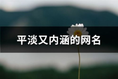 平淡的网名,不凡人生