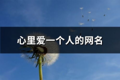 爱你网名,揭秘‘爱你网名的魅力与情感寓意”