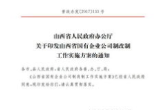 企业改制方案,路径规划与实施策略概述