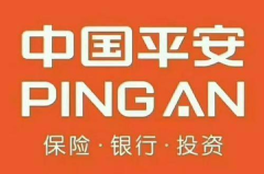 保险公司电话,服务、理赔与客户体验全方位解析