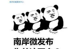掌新南岸最新发布,打造一站式政务服务平台