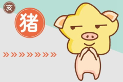 属猪女最佳婚配,揭秘最佳婚配属相，幸福婚姻指南