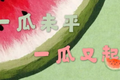 娱乐吃瓜文案视频素材,吃瓜群众必看的幕后花絮大放送！