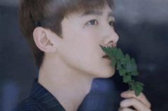 娱乐圈理性吃瓜白敬亭,娱乐圈理性吃瓜者的智慧与魅力
