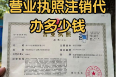 别人代办的营业执照怎么注销,专业代办，轻松完成注销手续