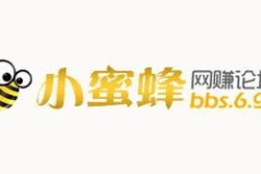 致富网赚论坛,揭秘热门项目，助力财富增长