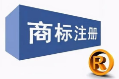 注册商标需要多少钱一个,不同类别、地区及服务费用解析